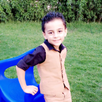 محمد حمدى على